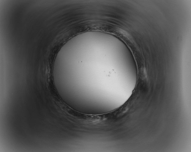 X0000088091111200705251423