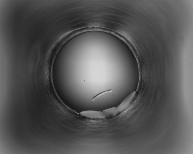 X0000088091115200705251423