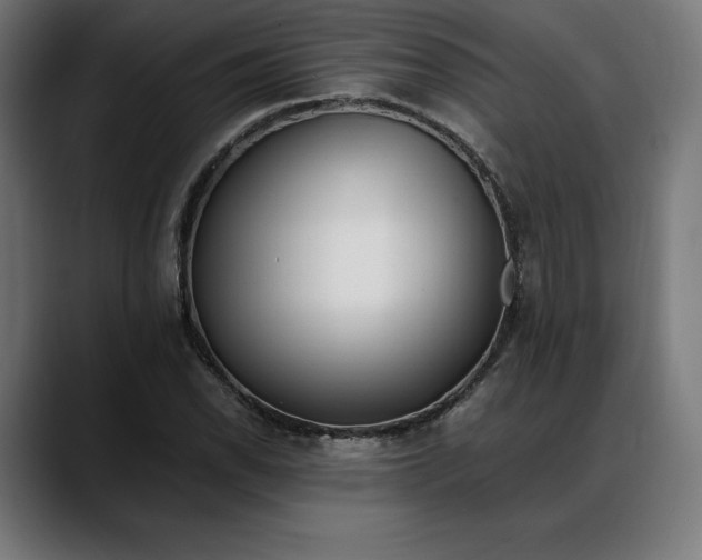 X0000088091118200705251423