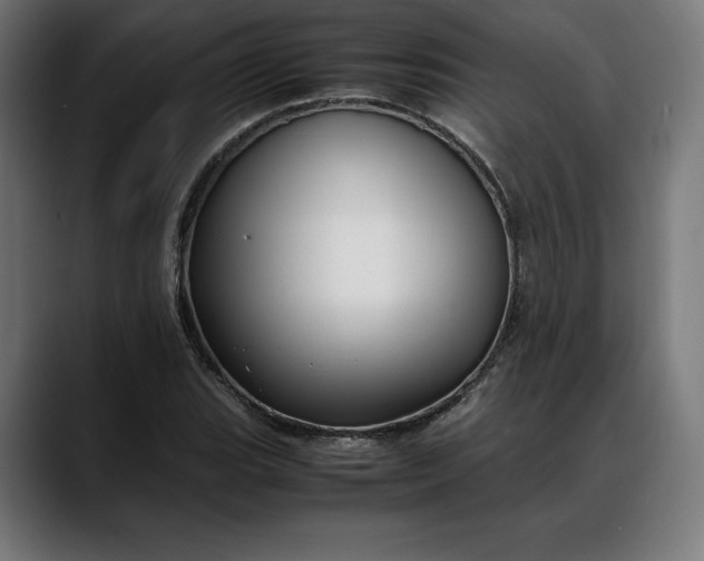 X0000088091119200705251423