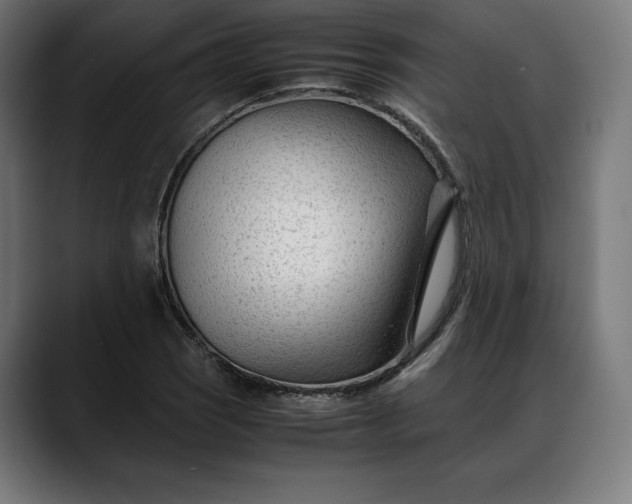 X0000088091121200705251423