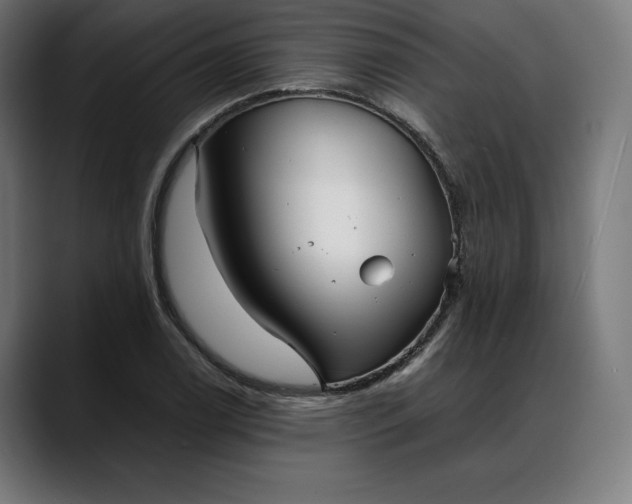 X0000088091122200705251423