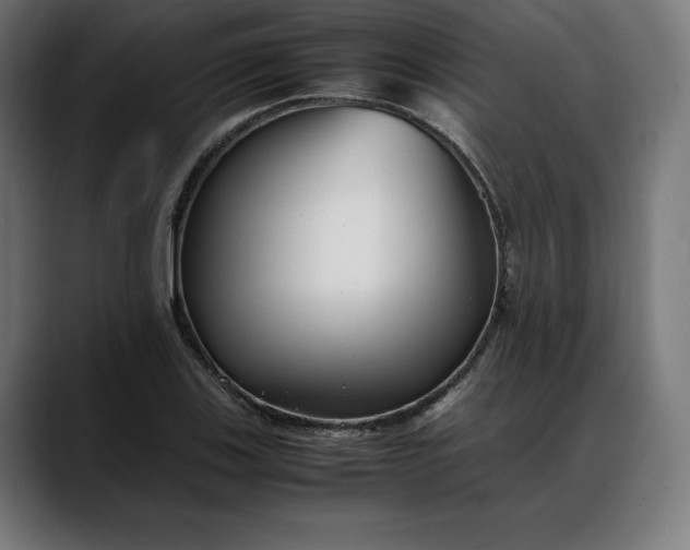 X0000088091123200705251423