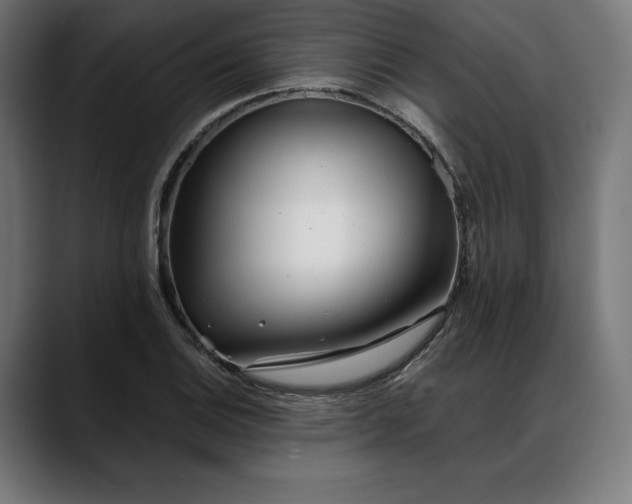 X0000088091124200705251423