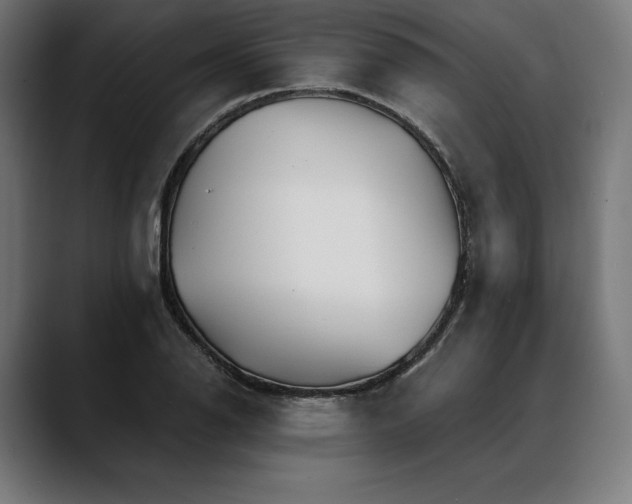 X0000088091126200705251423