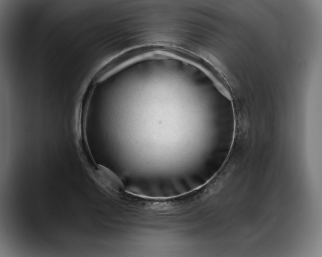 X0000088091128200705251423