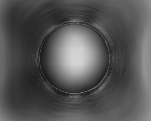 X0000088091129200705251423