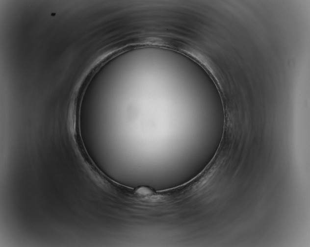 X0000088091131200705251423