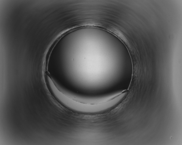 X0000088091132200705251423