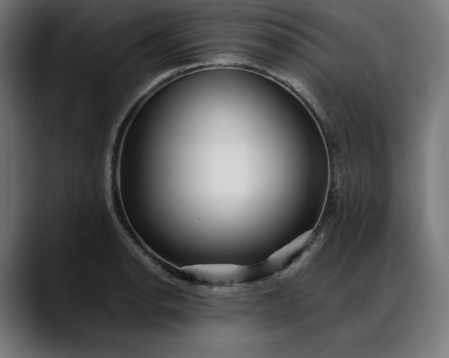 X0000088091134200705251423