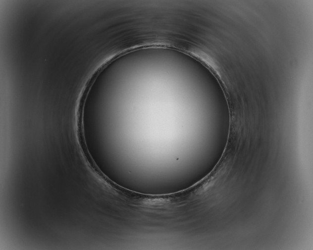 X0000088091135200705251423