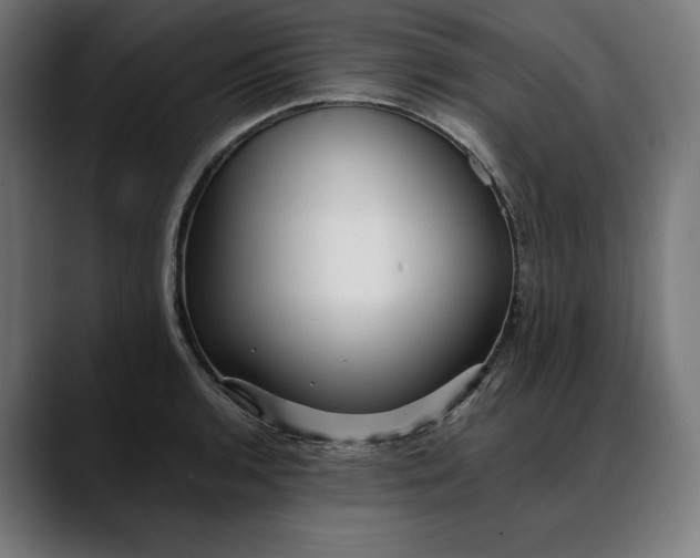 X0000088091136200705251423