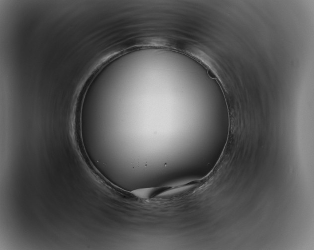 X0000088091139200705251423