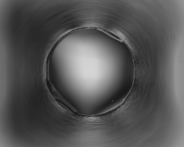 X0000088091140200705251423