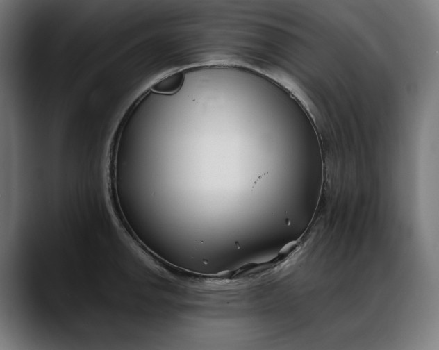 X0000088091142200705251423