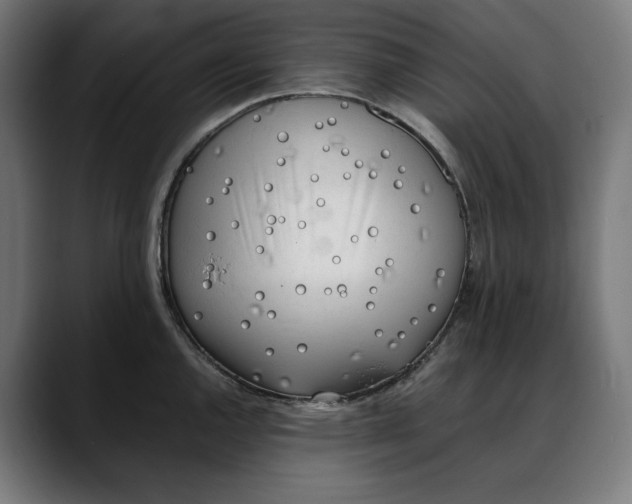 X0000088091144200705251423