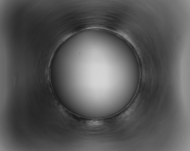 X0000088091145200705251423