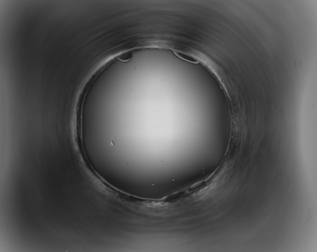 X0000088091147200705251423