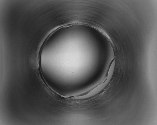 X0000088091148200705251423