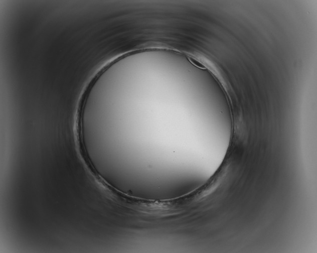 X0000088091149200705251423