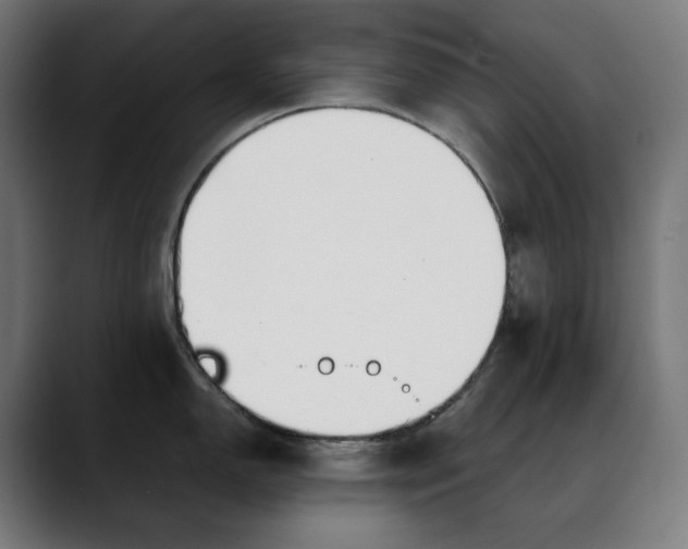 X0000088091150200705251423