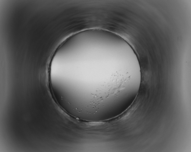 X0000088091151200705251423