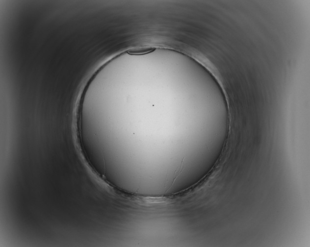 X0000088091152200705251423