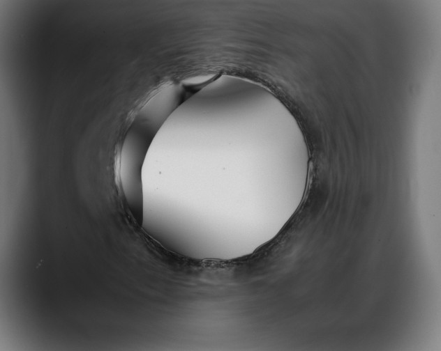 X0000088091153200705251423