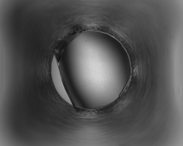 X0000088091156200705251423