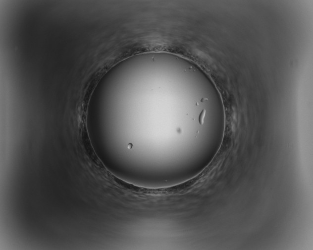 X0000088091157200705251423