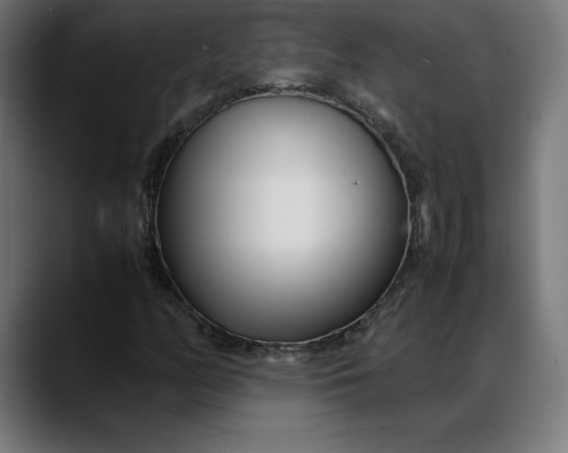 X0000088091158200705251423