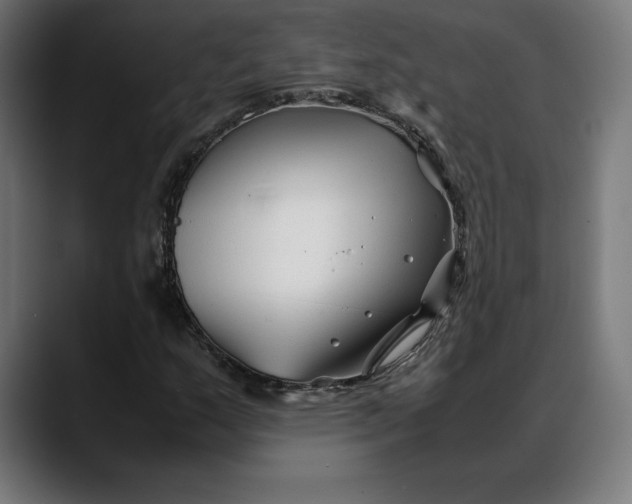 X0000088091159200705251423