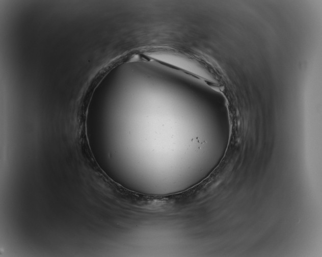 X0000088091160200705251423