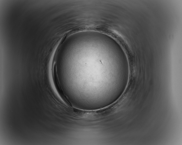 X0000088091161200705251423