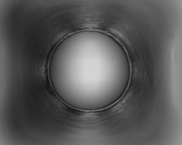 X0000088091162200705251423