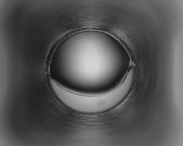 X0000088091164200705251423