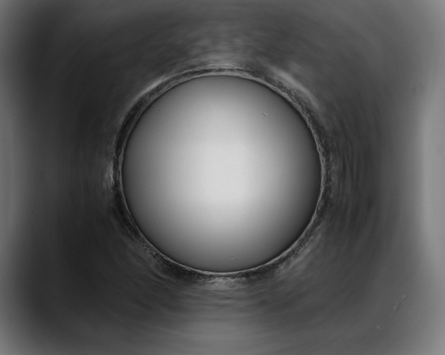 X0000088091166200705251423