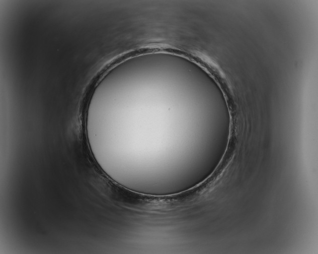 X0000088091167200705251423