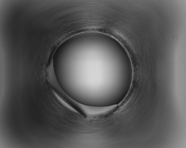 X0000088091169200705251423