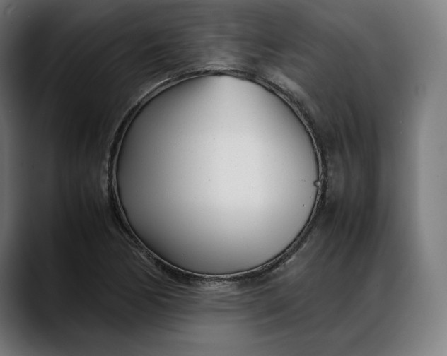 X0000088091170200705251423