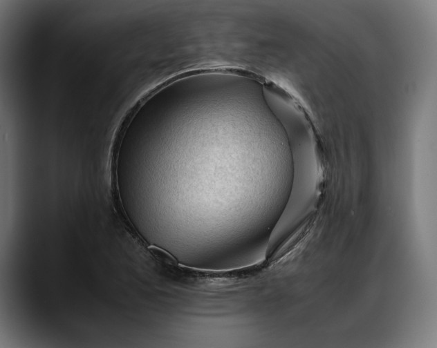 X0000088091173200705251422