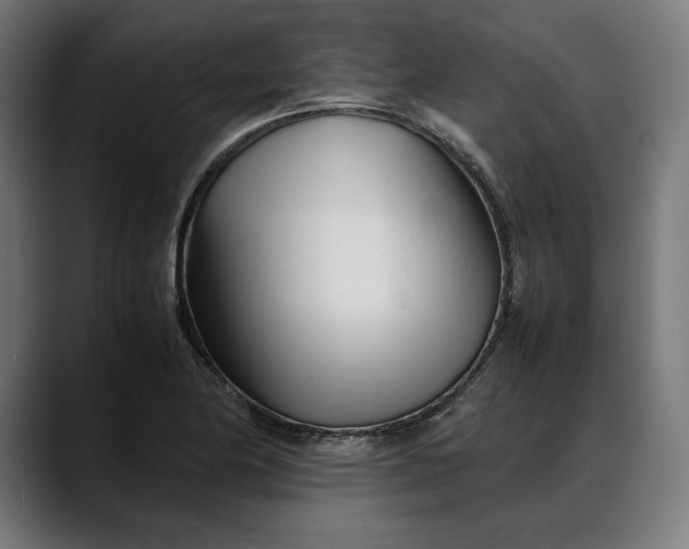 X0000088091174200705251422