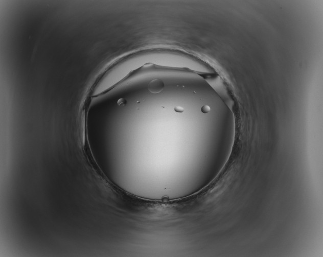 X0000088091175200705251422