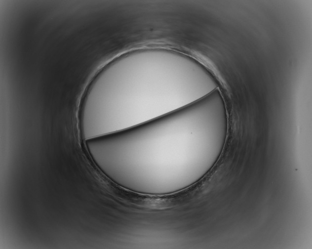 X0000088091176200705251422