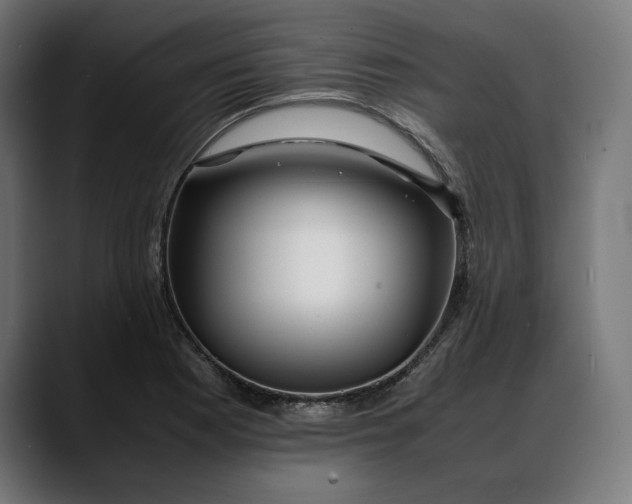 X0000088091177200705251422