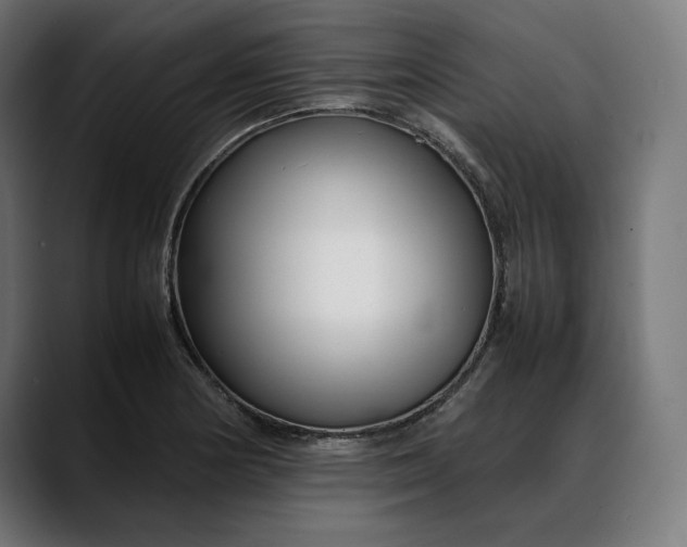 X0000088091178200705251422