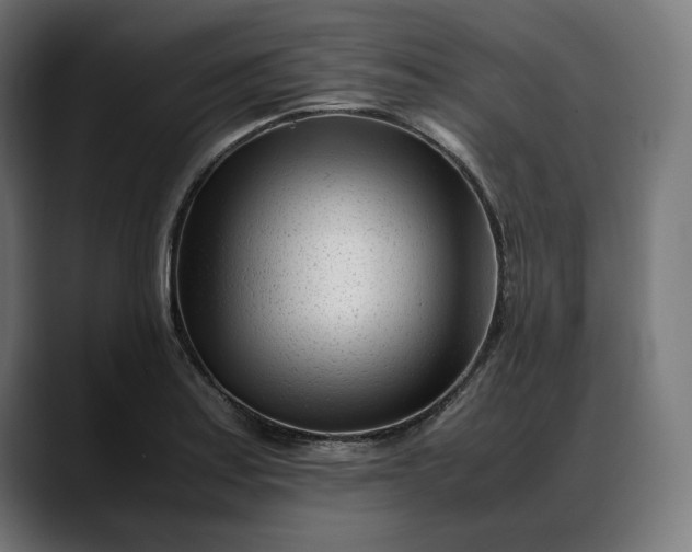 X0000088091179200705251422