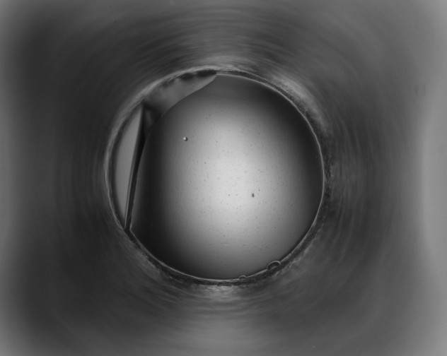 X0000088091180200705251422