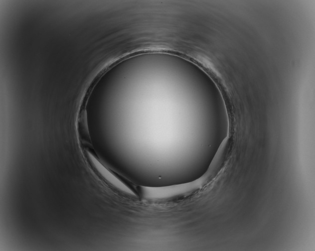 X0000088091181200705251422