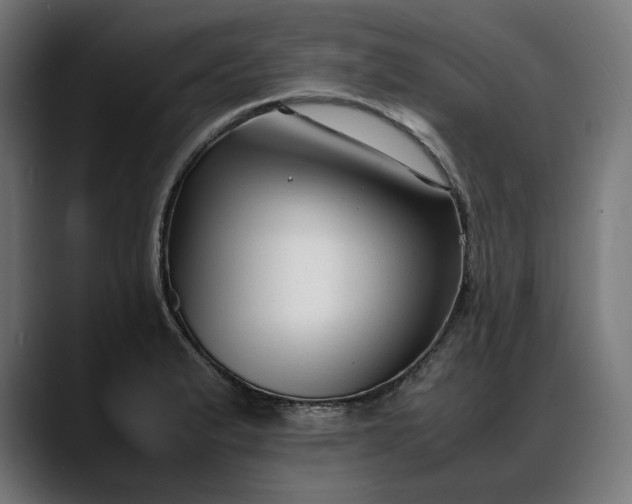 X0000088091183200705251422